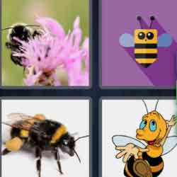 9-letters-answers-bumblebee