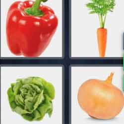 9-letters-answers-vegetable