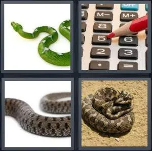 7-letters-answer-adder