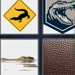 9-letters-answers-alligator
