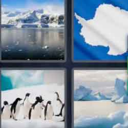 9-letters-answers-antarctic
