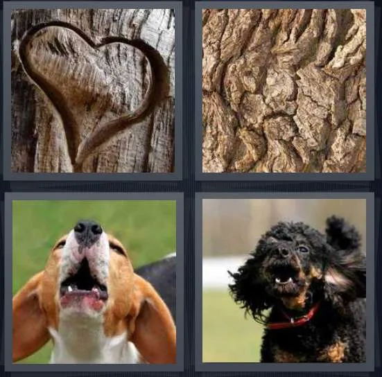 7-letters-answer-bark