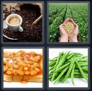7-letters-answer-beans