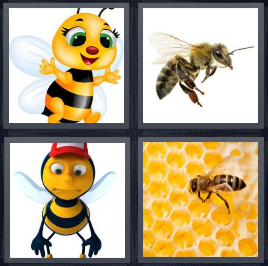 3-letters-answer-bee