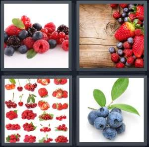 7-letters-answer-berries