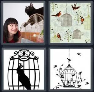 8-letters-answer-birdcage