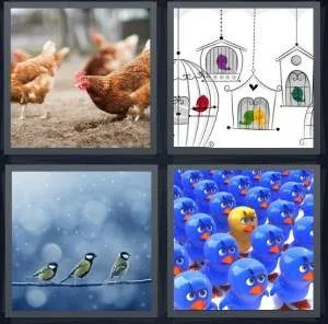 7-letters-answer-birds