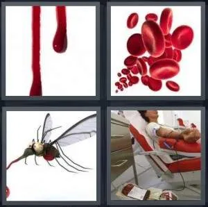 7-letters-answer-blood