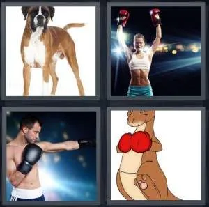 7-letters-answer-boxer