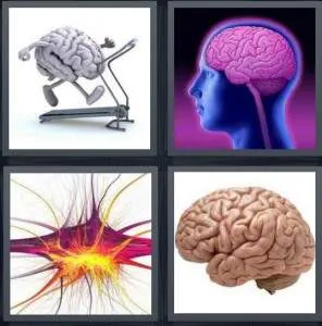7-letters-answer-brain