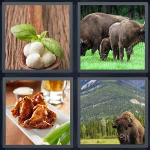 7-letters-answer-buffalo