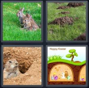 7-letters-answer-burrow