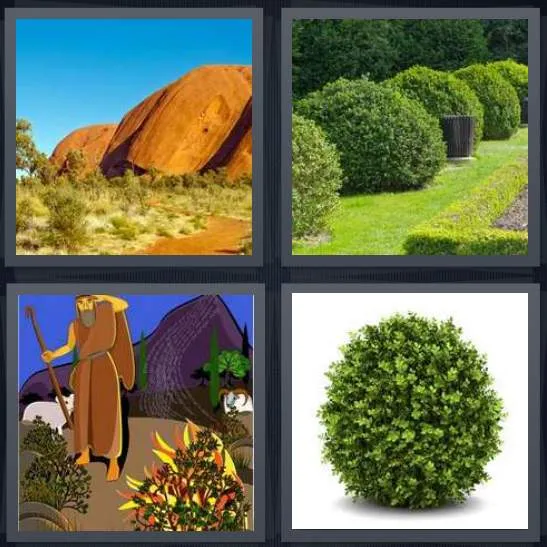 7-letters-answer-bush