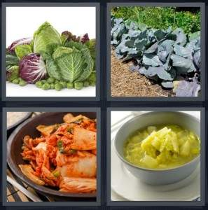 7-letters-answer-cabbage