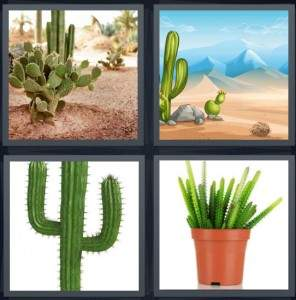 7-letters-answer-cactus