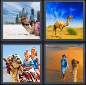 7-letters-answer-camel