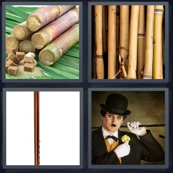 7-letters-answer-cane