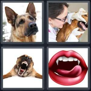 7-letters-answer-canine