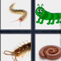 9-letters-answers-centipede