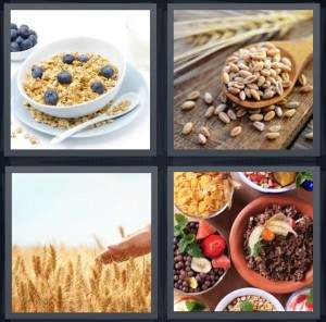 7-letters-answer-cereal