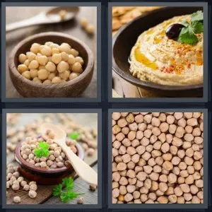 8-letters-answer-chickpea