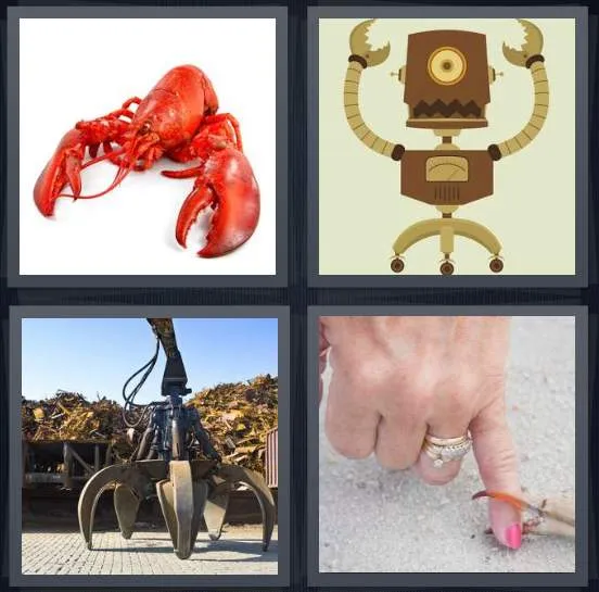 7-letters-answer-claw
