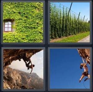 7-letters-answer-climber
