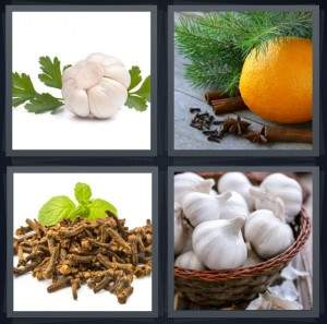 7-letters-answer-cloves