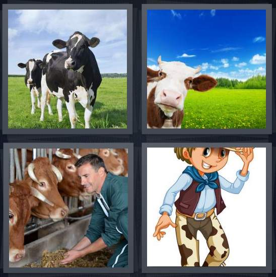 3-letters-answer-cow