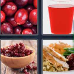 9-letters-answers-cranberry
