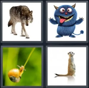 8-letters-answer-creature
