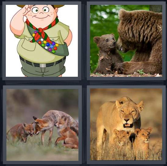 3-letters-answer-cub