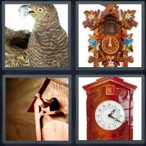 7-letters-answer-cuckoo