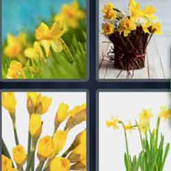 9-letters-answers-daffodils