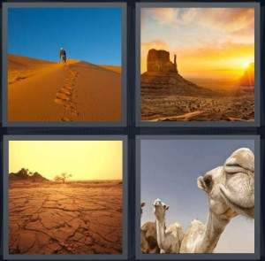 7-letters-answer-desert