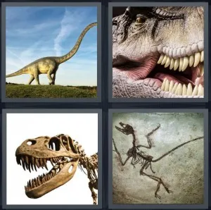 8-letters-answer-dinosaur