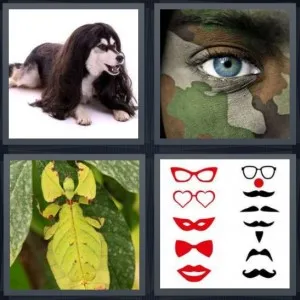 8-letters-answer-disguise