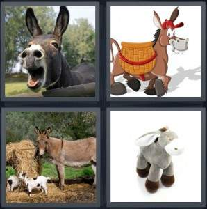 7-letters-answer-donkey