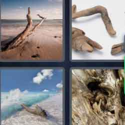 9-letters-answers-driftwood
