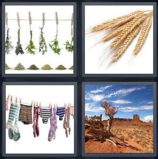 3-letters-answer-dry