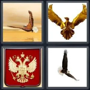 7-letters-answer-eagle