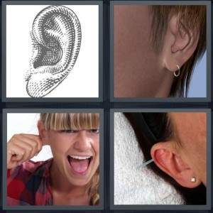 7-letters-answer-earlobe