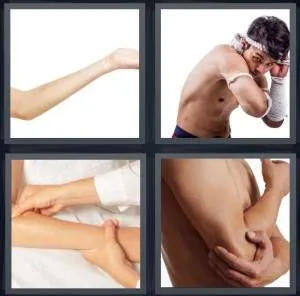 7-letters-answer-elbow