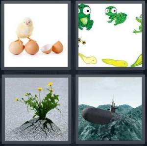 7-letters-answer-emerge
