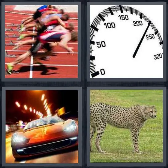 7-letters-answer-fast