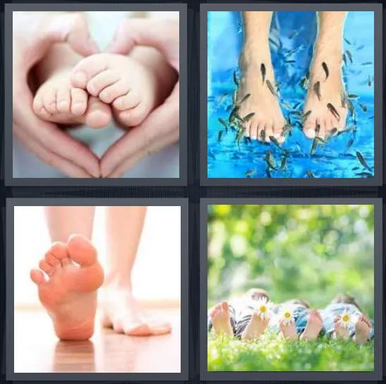 7-letters-answer-feet