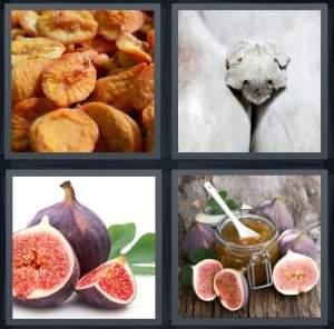 3-letters-answer-fig