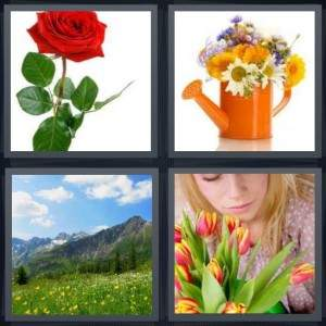 7-letters-answer-flower