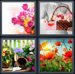 7-letters-answer-flowers