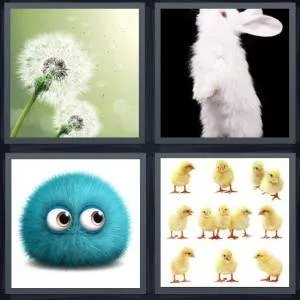 7-letters-answer-fluff